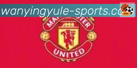 万赢娱乐体育合作伙伴